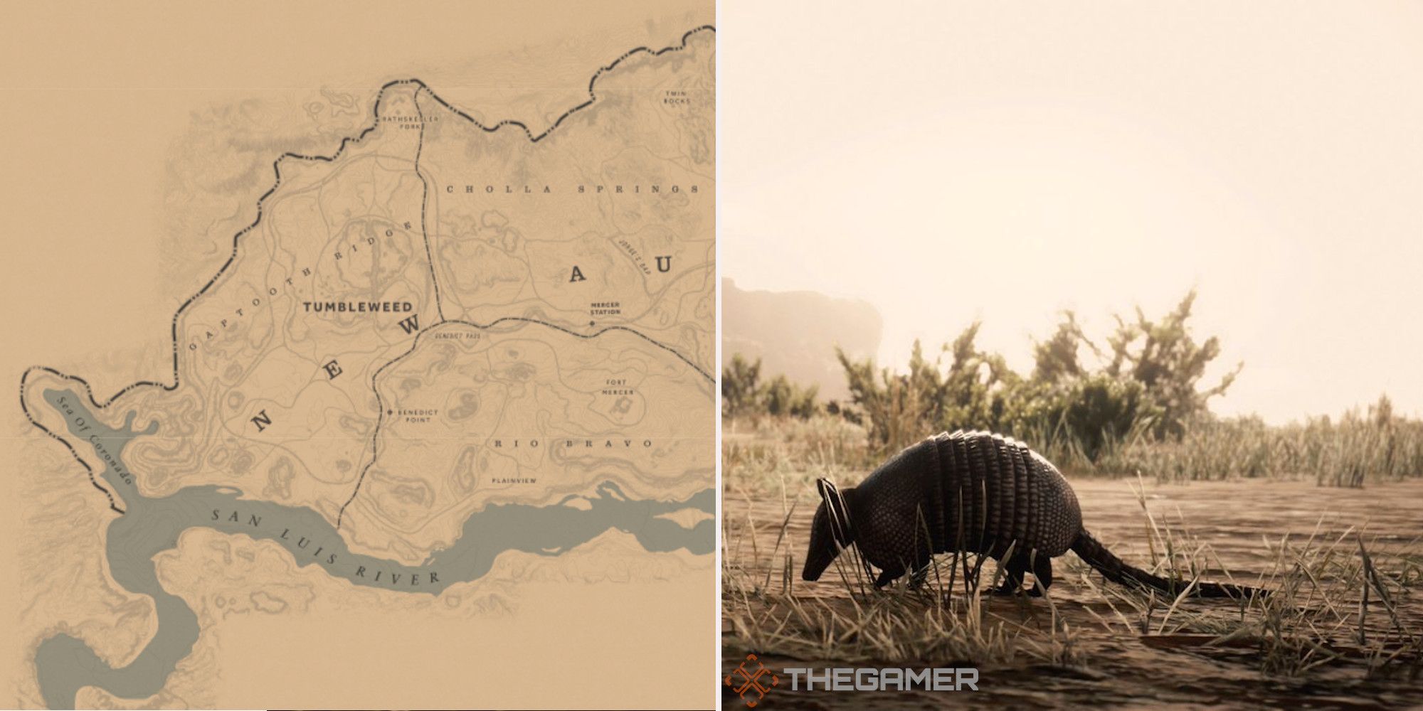 Red Dead Online: las mejores ubicaciones de caza de armadillos de nueve bandas