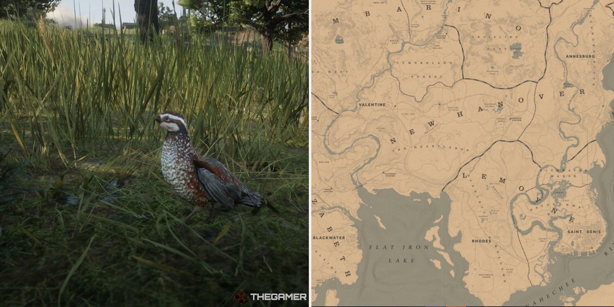 Red Dead Online: las mejores ubicaciones de caza de codornices
