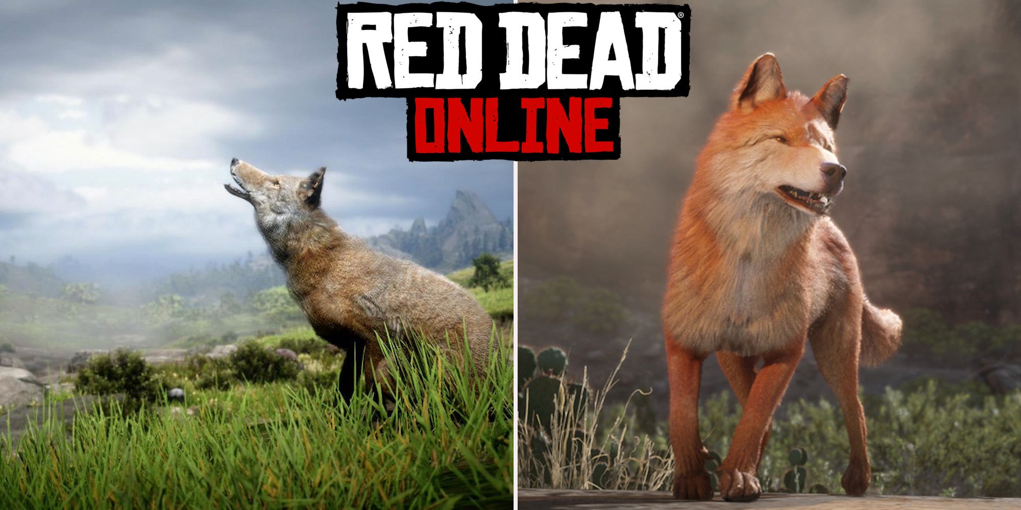 Red Dead Online: las mejores ubicaciones de caza de coyotes