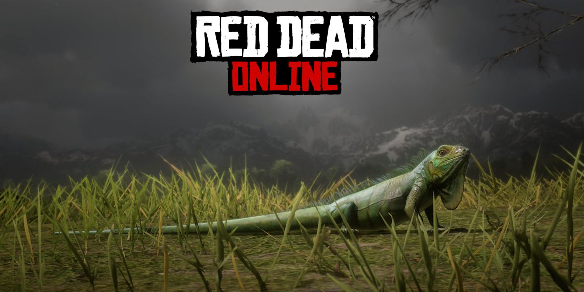 Red Dead Online: las mejores ubicaciones de caza de iguanas