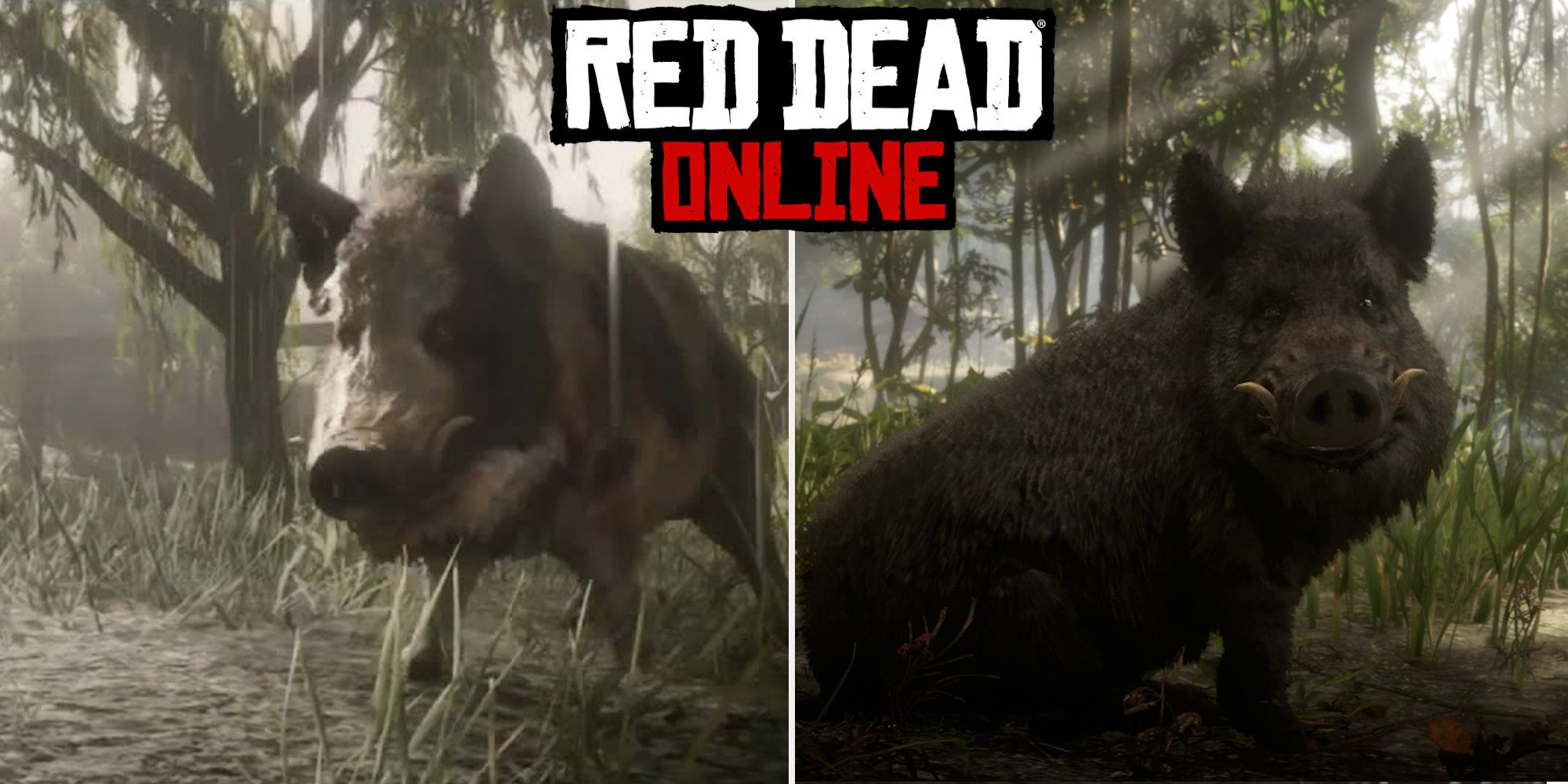 Red Dead Online: las mejores ubicaciones de caza de jabalíes