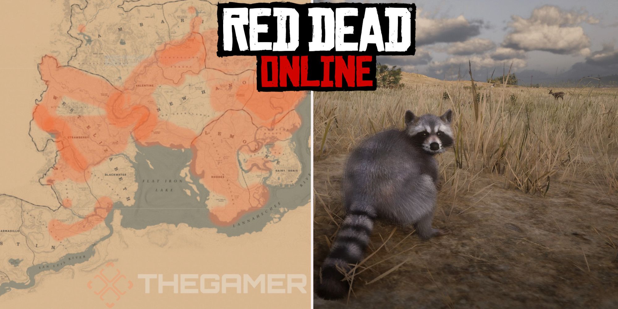 Red Dead Online: las mejores ubicaciones de caza de mapaches