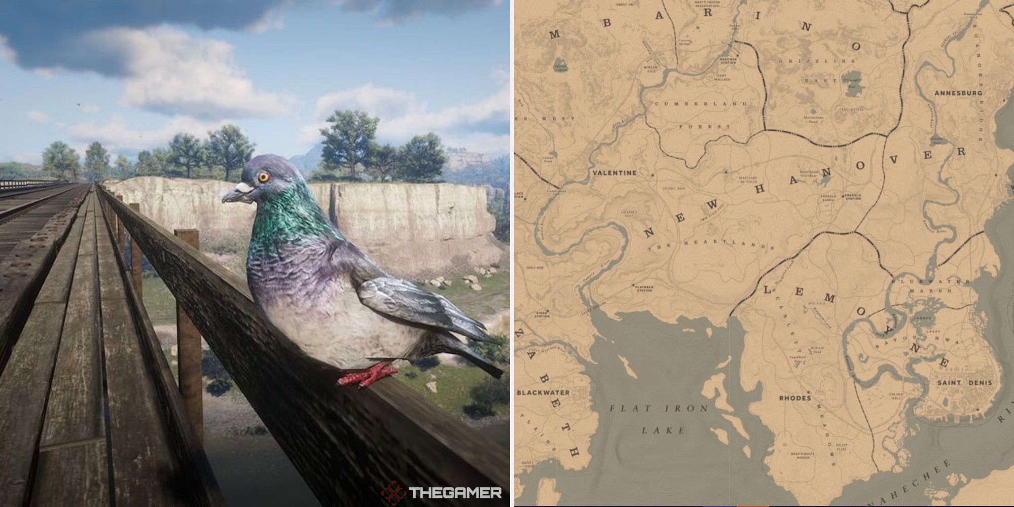 Red Dead Online: las mejores ubicaciones de caza de palomas