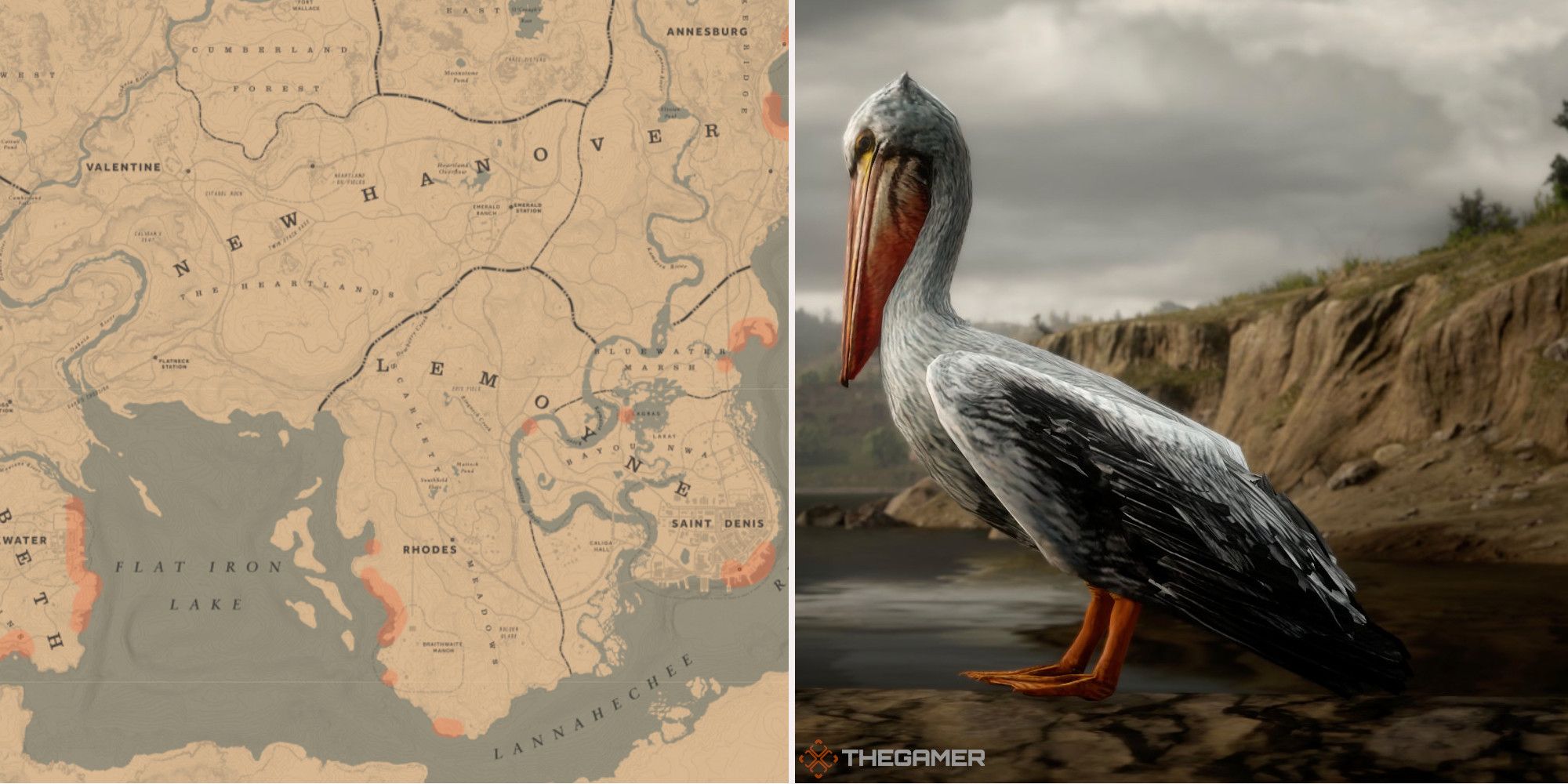 Red Dead Online: las mejores ubicaciones de caza de pelícanos