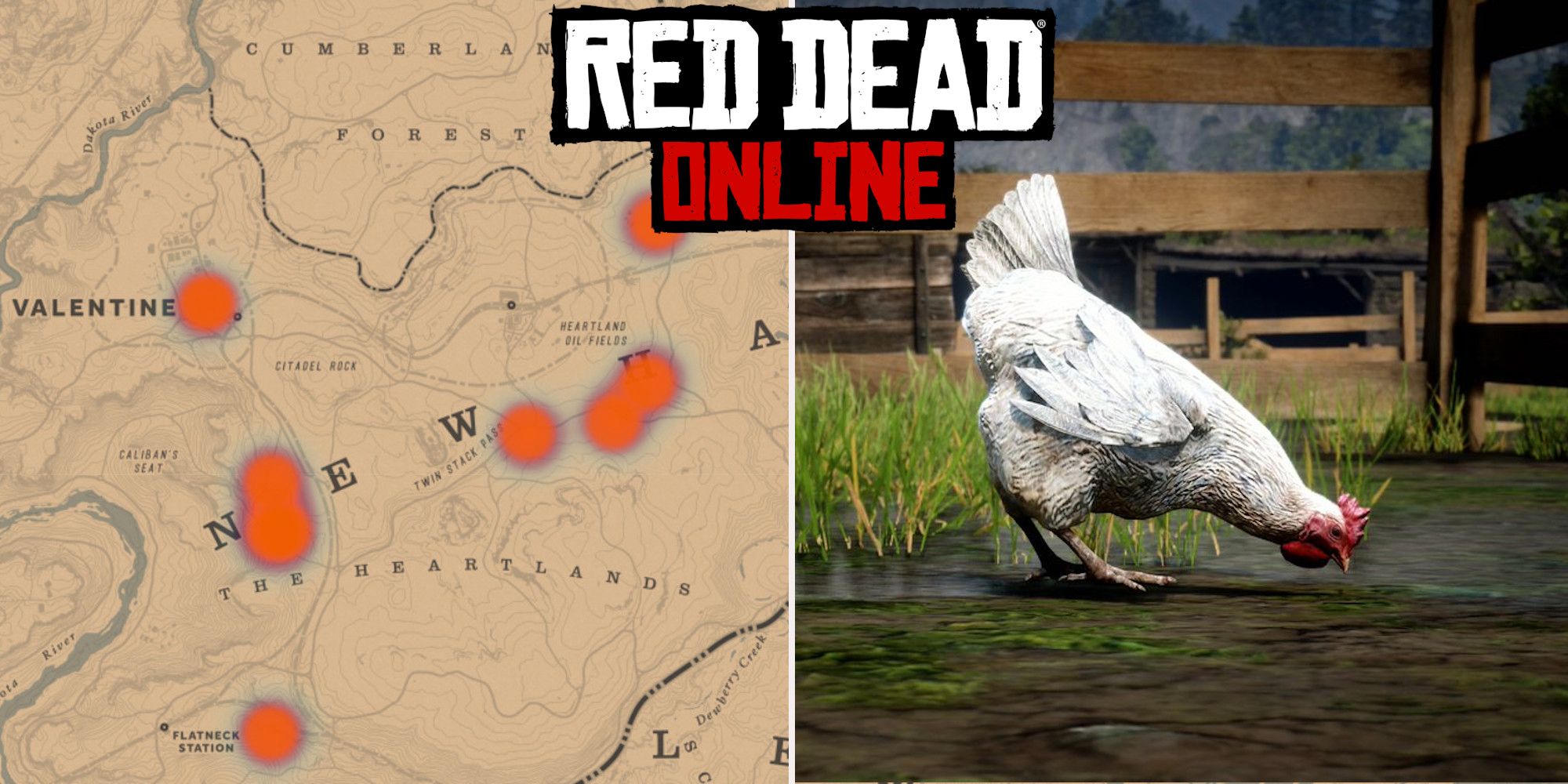 Red Dead Online: las mejores ubicaciones de pollos