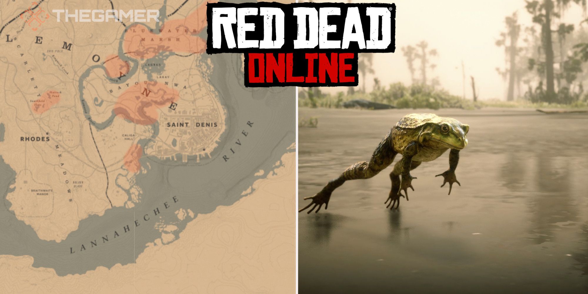 Red Dead Online: las mejores ubicaciones de ranas toro americanas