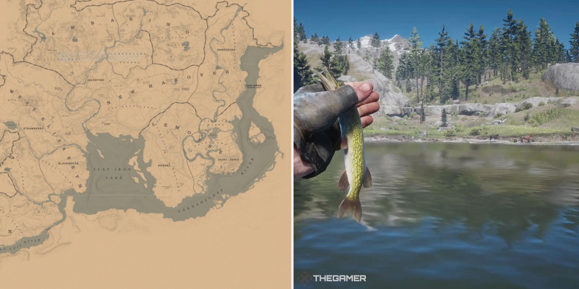 Red Dead Online: las mejores ubicaciones para pescar Chain Pickerel