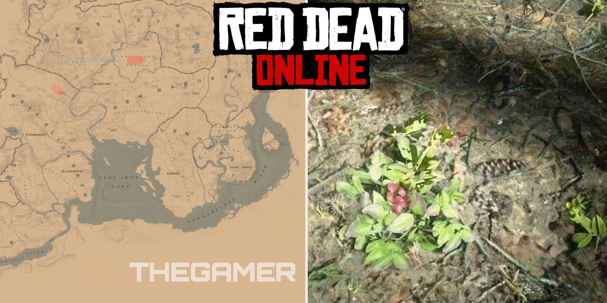 Red Dead Online: mejores ubicaciones de bayas de gaulteria