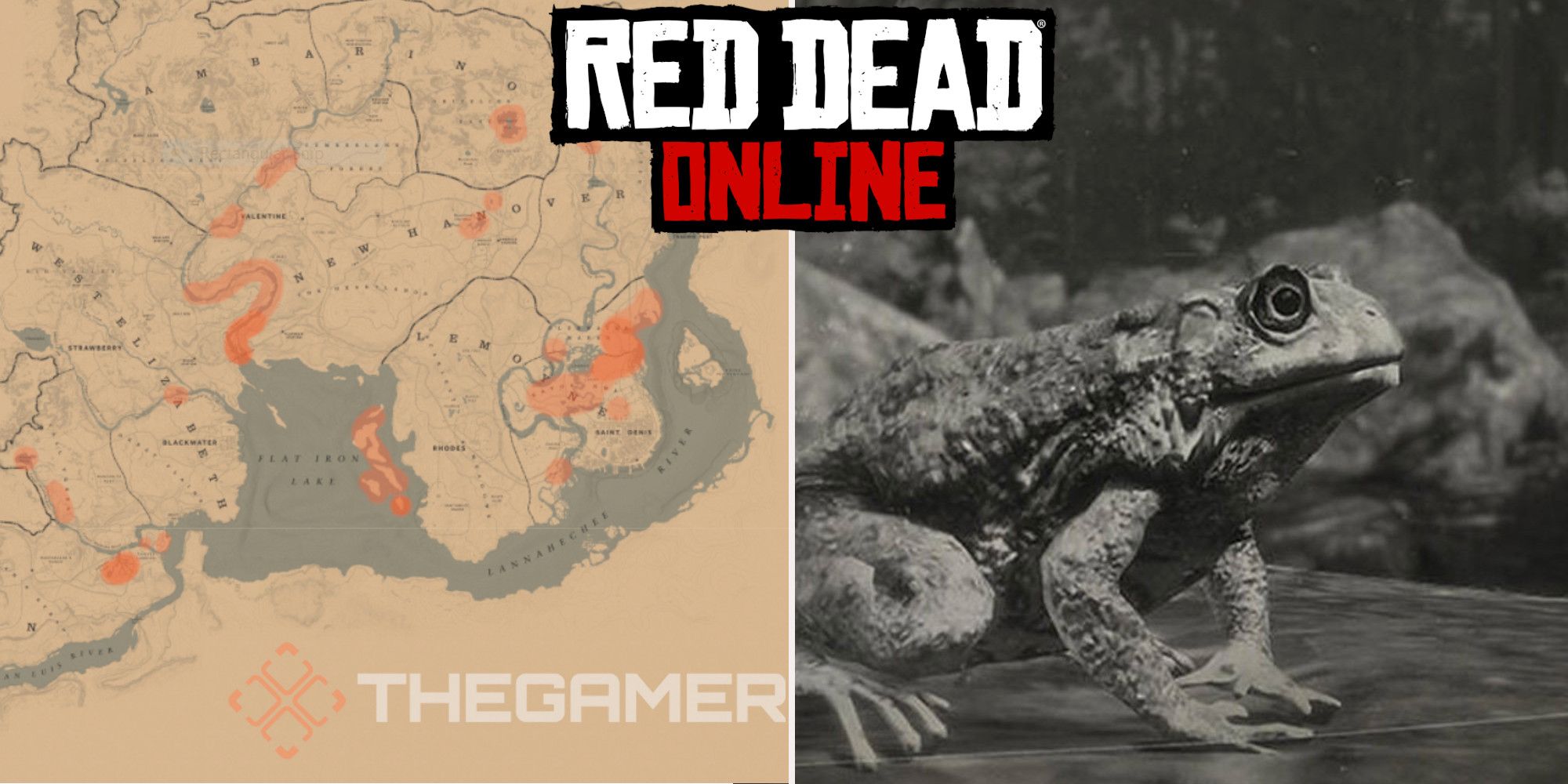 Red Dead Online: ubicaciones de caza de sapos de Best Western