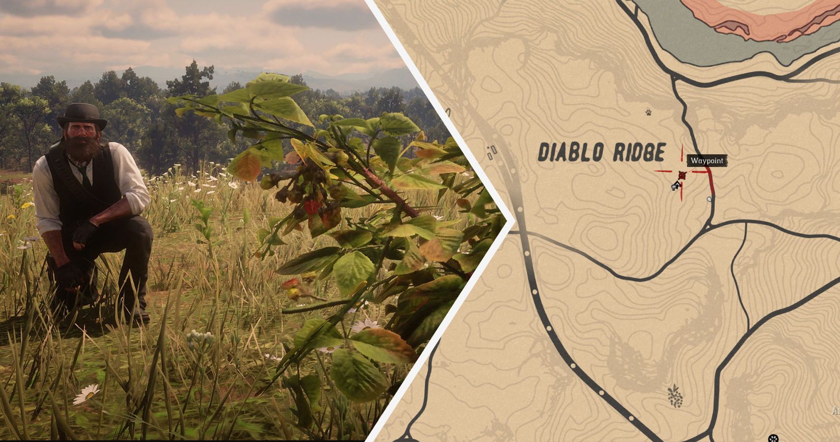 Red Dead Redemption 2: Dónde encontrar moras