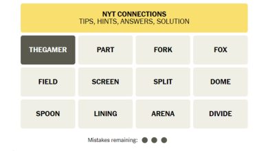 Respuestas y sugerencias de NYT Connections: 12 de diciembre de 2023 Solución n.º 184