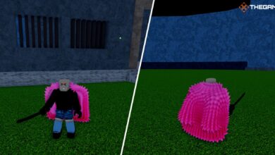 Roblox: Blox Fruits - Cómo conseguir el abrigo rosa