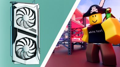 Bitcoin Miner Crypto Pirate And Gfx Card