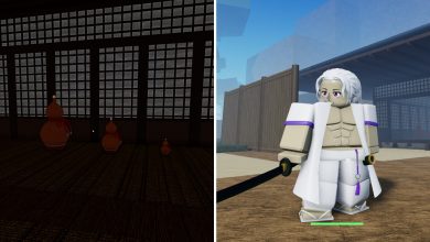 Roblox Project Slayers Total Concentration Breathing Breathing Gourds on the left and Custom Character on the right