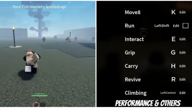 Roblox Project Slayers Carrying Riyaku (little girl) and controls menui