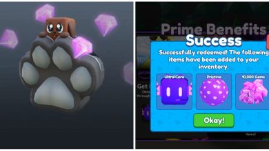Roblox Prime Gaming Doggy Backpack And Mining Sim 2 Rewards