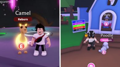 image of player with neon camel next to image of holly at the nursery