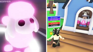 image of neon poodle next to image of player buying an egg from holly