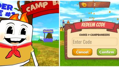 Camp Bonkers Character And Codes Page