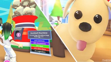 image of player at gumball machine next to image of dog