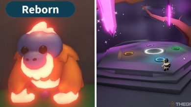 image of neon orangutan next to image of neon cave