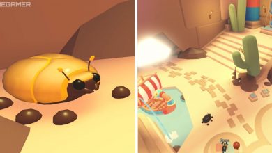 image of gold scarab next to image of desert shop interior