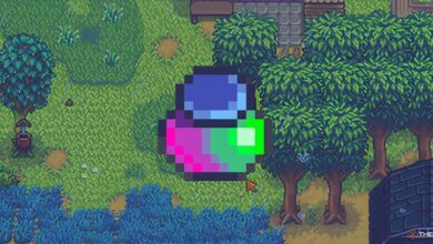 Stardew Valley: Cómo conseguir y usar gel para el cabello mágico