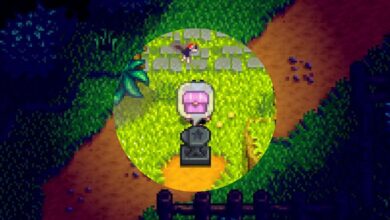 Stardew Valley: Cómo conseguir y usar la caja de hadas