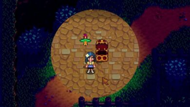 Stardew Valley: Cómo conseguir y utilizar un huevo de loro