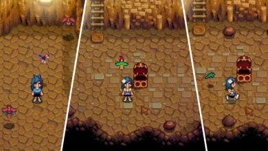 Stardew Valley: Cómo encontrar baratijas