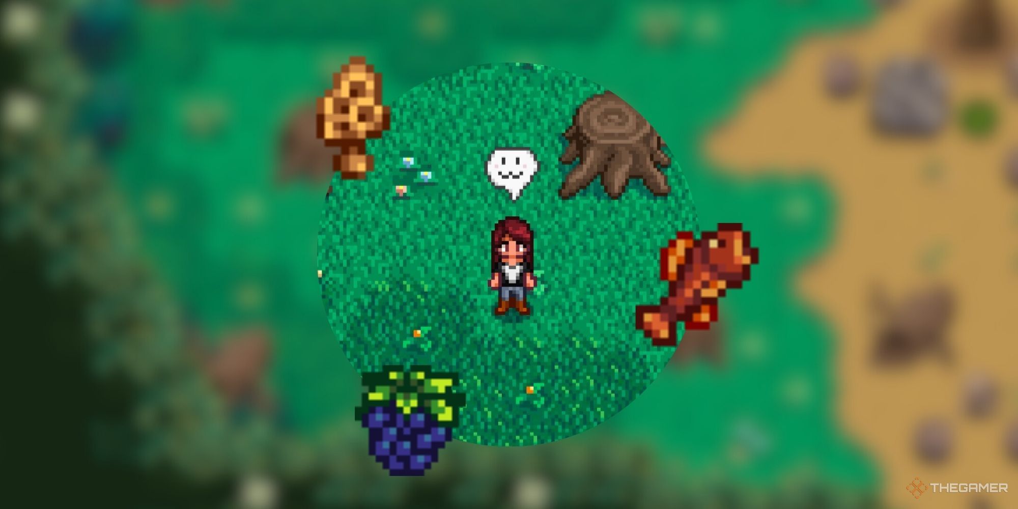 Granjero de Stardew Valley con Morel, Woodskip y Blackberry sobre fondo borroso