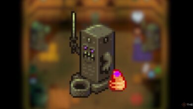Stardew Valley: Santuario oscuro de los terrores nocturnos, explicado