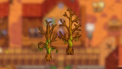 Stardew Valley: árboles muertos, explicados