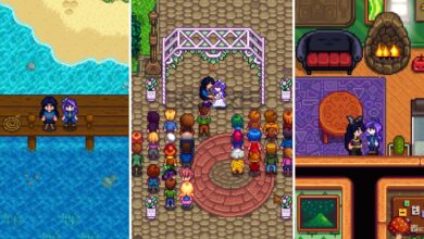 Stardew Valley: período de luna de miel, explicado