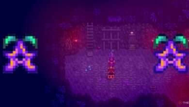 Stardew Valley: ¿Qué impacto tiene tu cosa favorita?