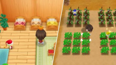 The Nature Sprites in Story of Seasons Friends of Mineral Town