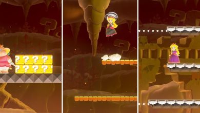Super Mario Bros. Wonder: Search Party - Guía del parque de objetos