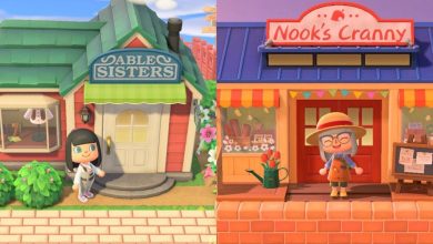 Player in front of Able Sisters and Nook's Cranny in Animal Crossing New Horizons