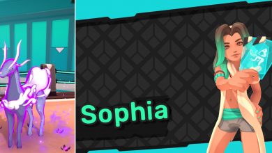 Sophia Split Image Feature