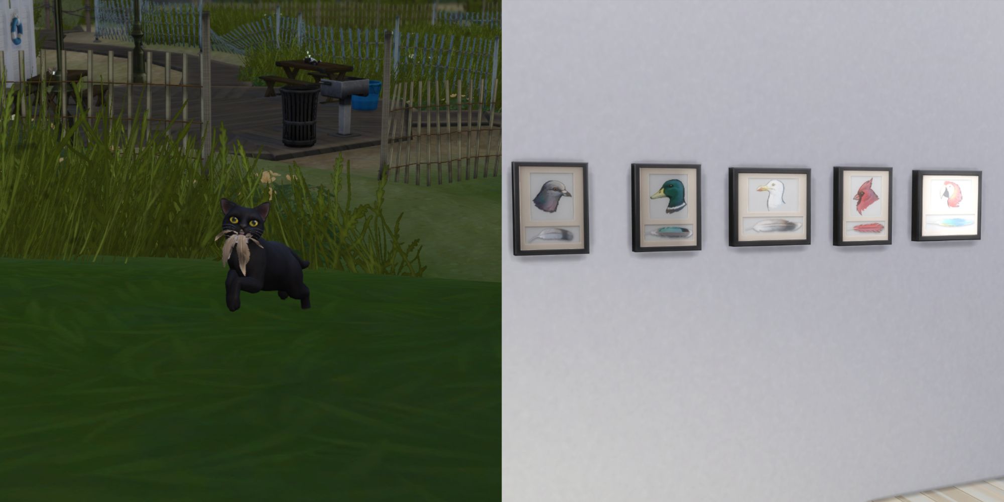 Una imagen dividida de los Sims 4 gatos y perros de un gato trayendo un montón de plumas y una pared que muestra diferentes plumas.