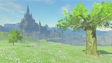 Breath Of The Wild Silent Princess Captured Memory