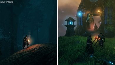 split image showing players within the mistlands biome