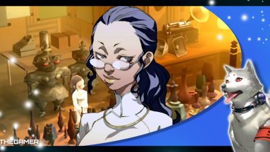 the owner of shinshoudo antiques at paulownia mall in front of her shop in our p3p frame