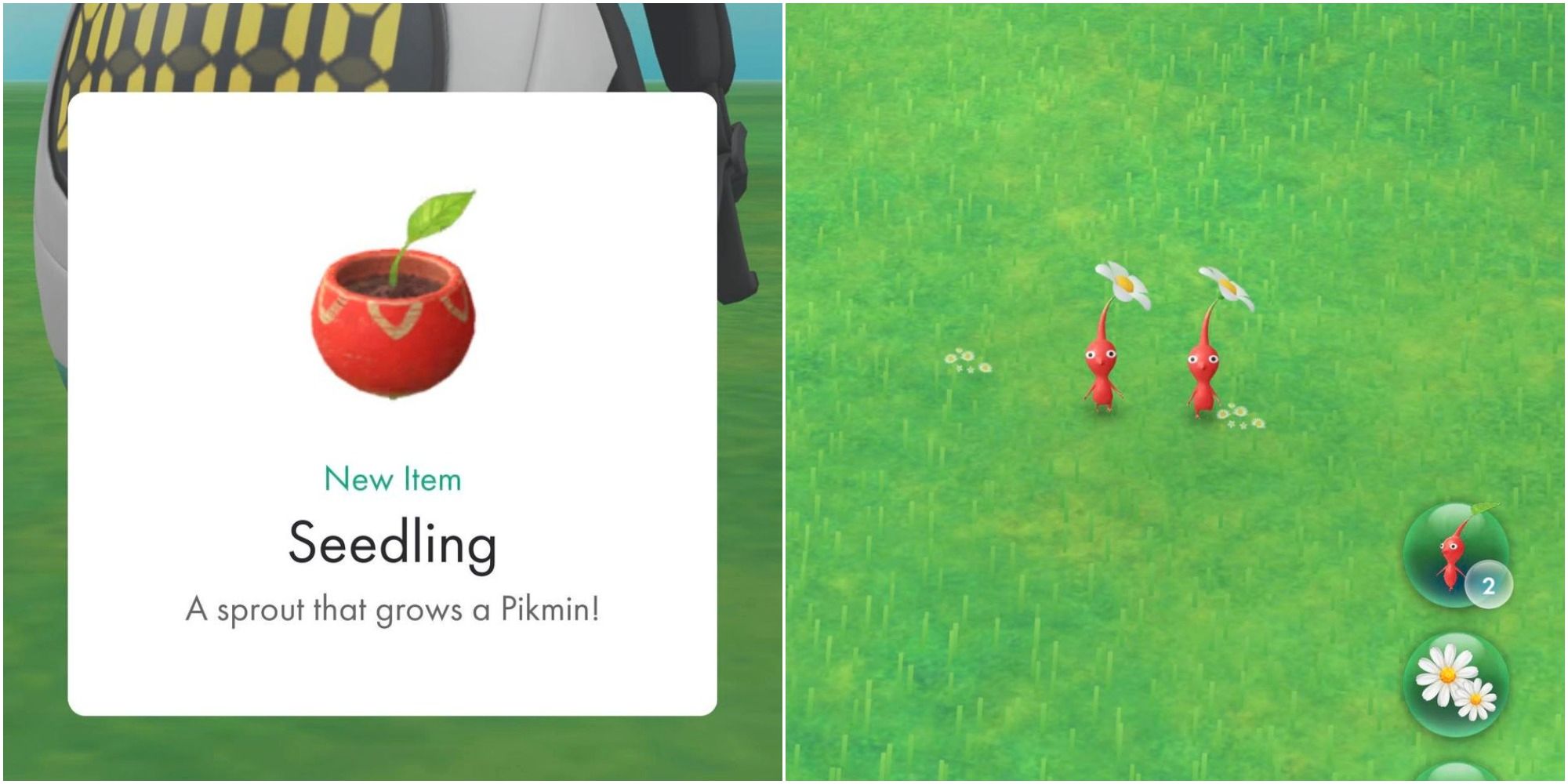 Una guía para principiantes sobre Pikmin Bloom