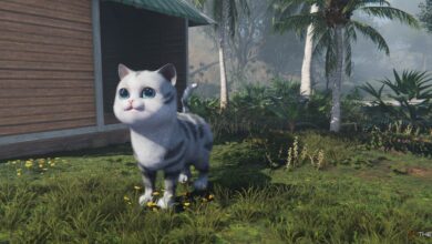 Una vez humano: cómo conseguir la mascota extradimensional desviada del gato