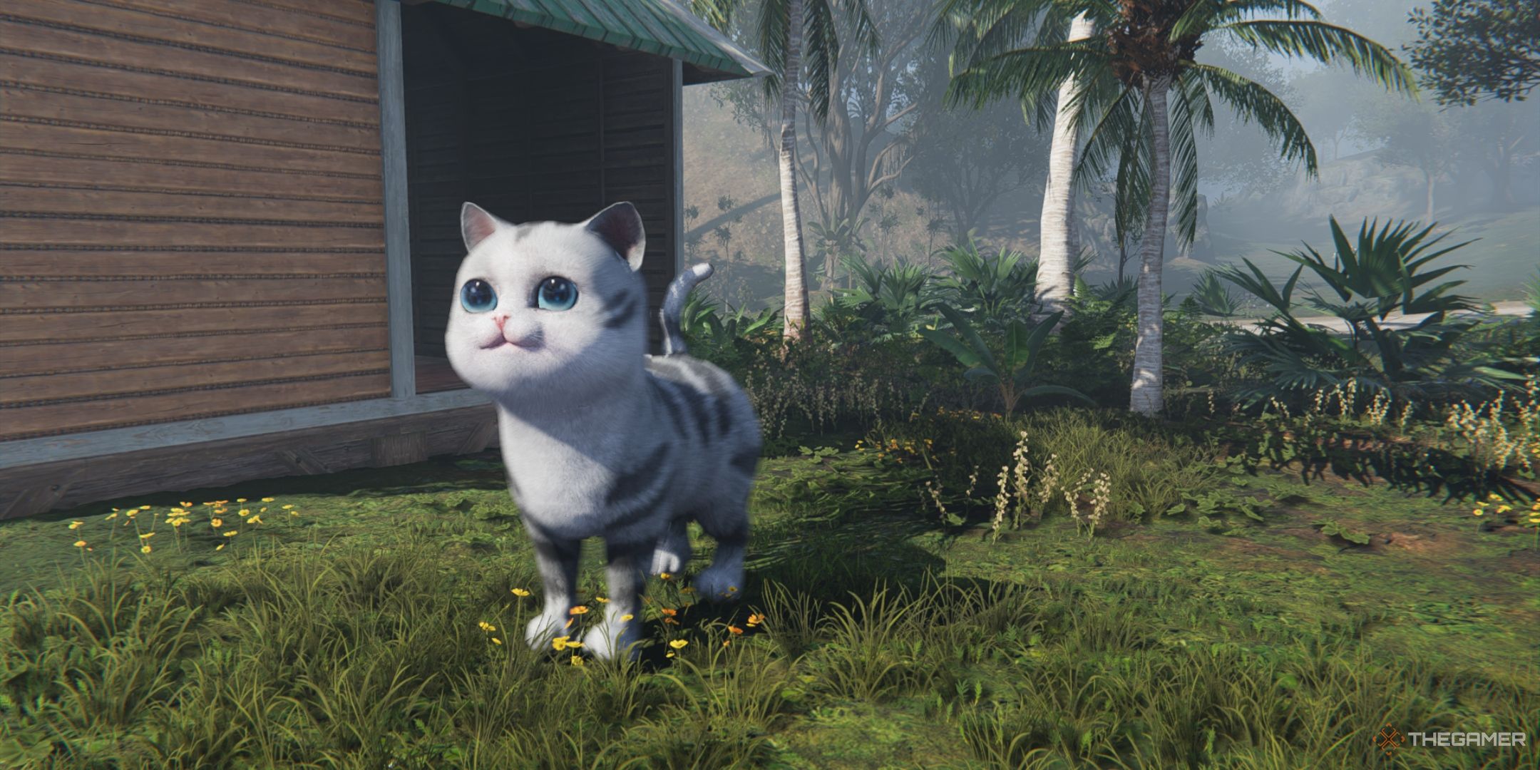 Una vez un humano_ Gato extradimensional parado frente a una estructura creada por un jugador