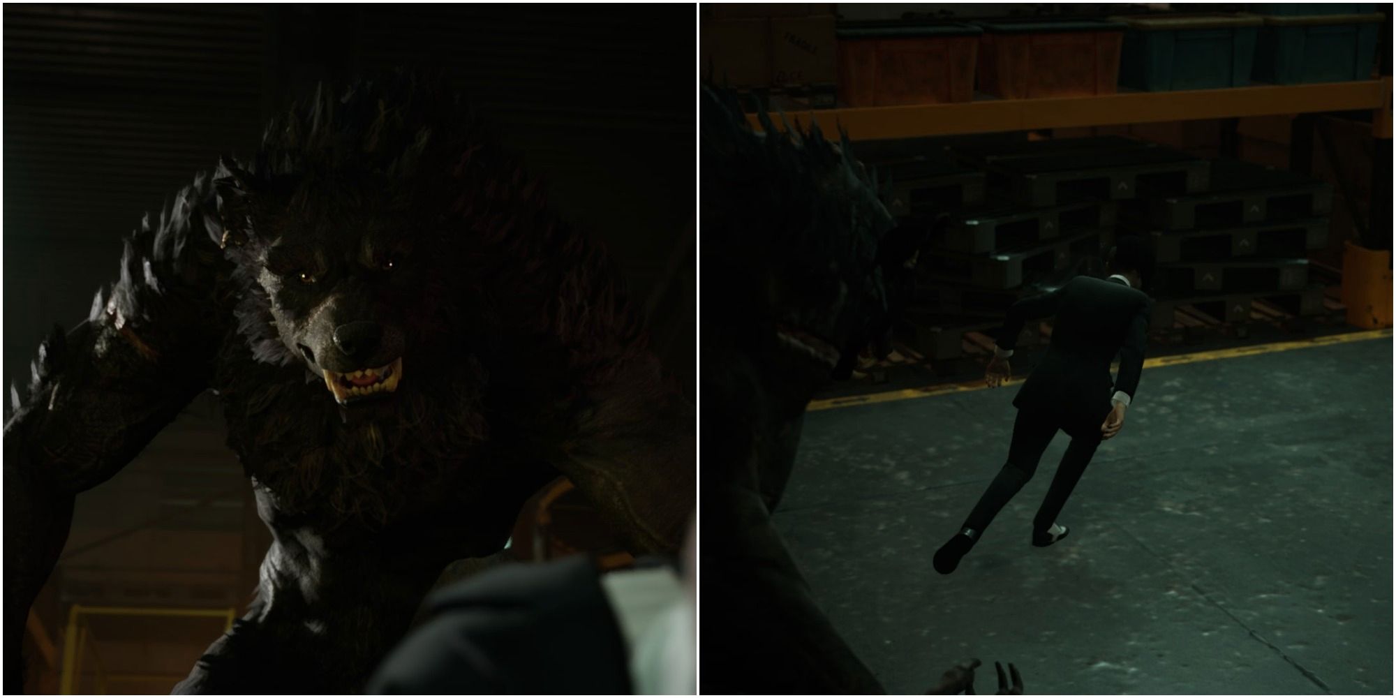 Vampire: The Masquerade - Swansong - collage of werewolf preparing to attack Leysha, and Leysha running away