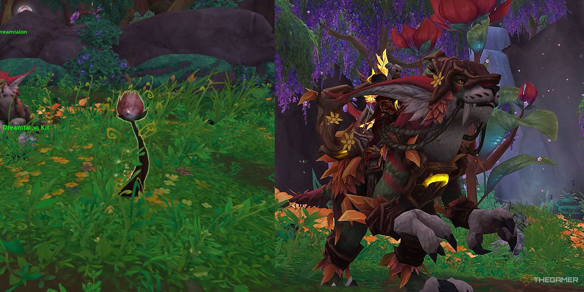 Brote humeante (izquierda) junto a la montura Ochre Dreamtalon (derecha)