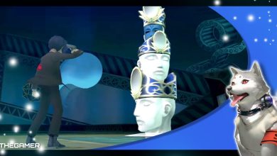 the male protagonist of persona 3 portable fighting fanatic tower in our p3p koromaru frame
