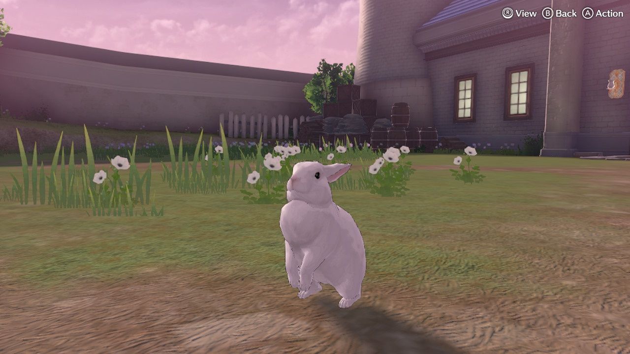 Fire Emblem Engage, un adorable conejo
